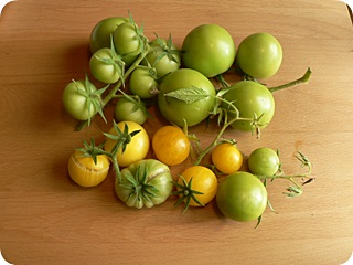 Tomaten November
