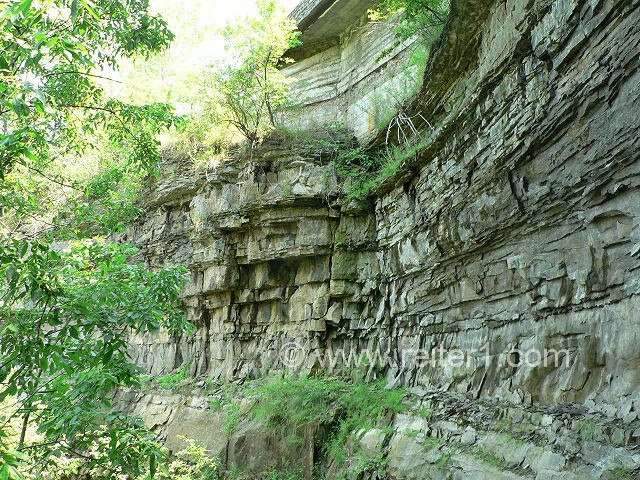 Niagara Devils Hole Trail