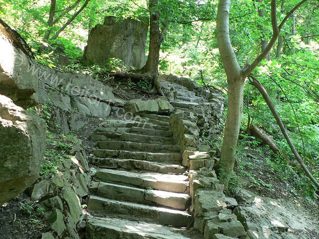 Niagara Devils Hole Trail