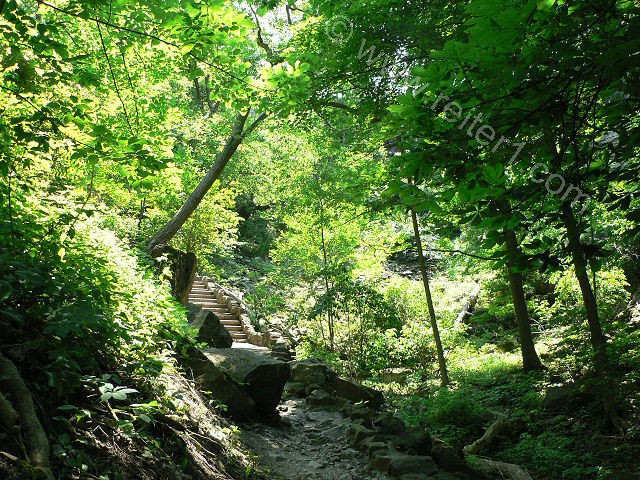 Niagara Devils Hole Trail