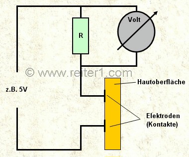 Luegendetektor Funktion Prinzip